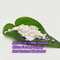 روغن Bmk سفید C11H12N2O2 ترکیب شیمیایی آلی برای صنعتی